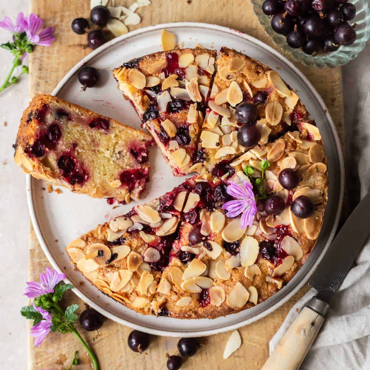 Blackcurrant Cake Background
